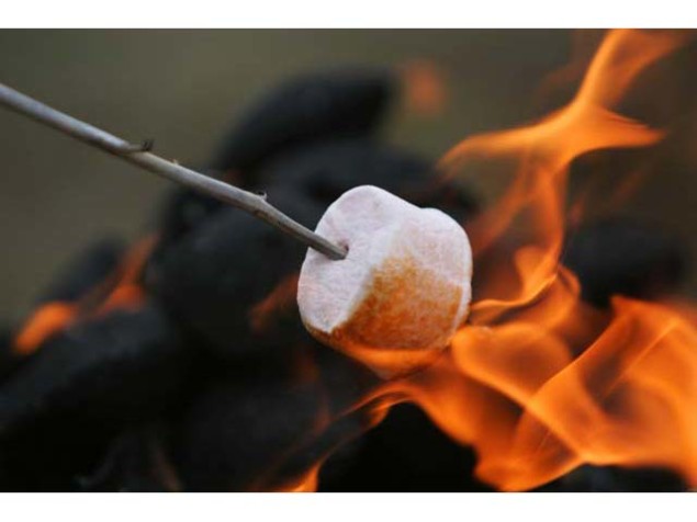 kc-single-marshmallow-roasting