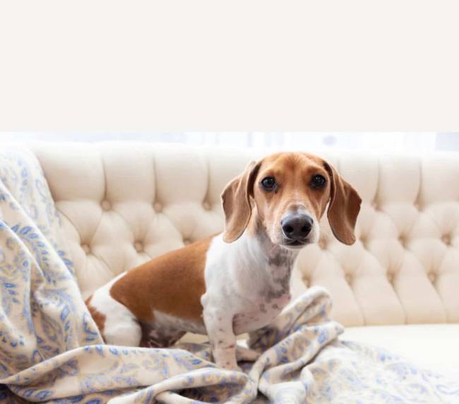 18E410B3-B21D-4475-9111-F300135DAB19